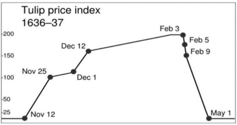 Tulip price indez